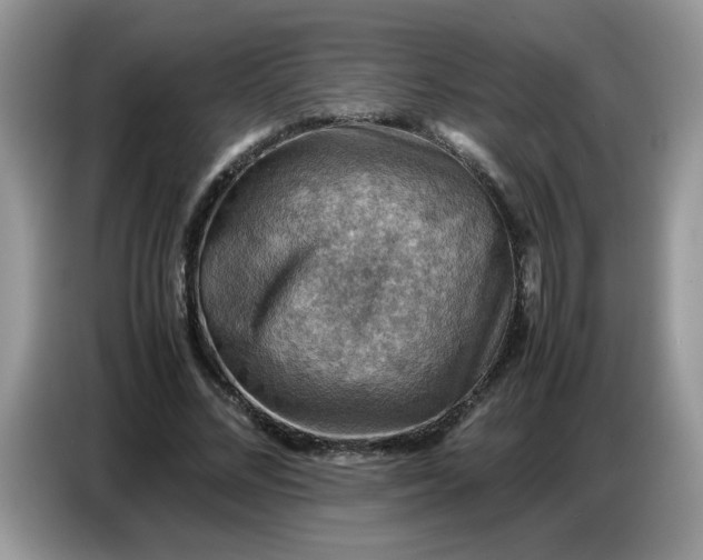 X0000086770684200704271750