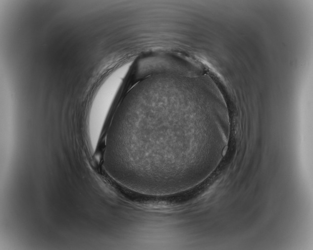 X0000086770685200704271750