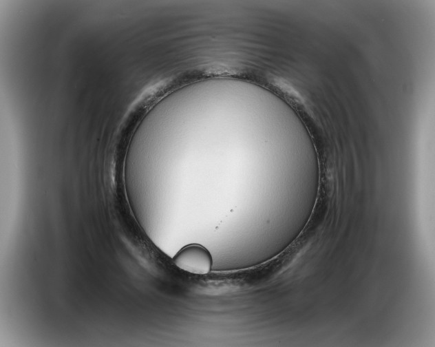 X0000086770686200704271750