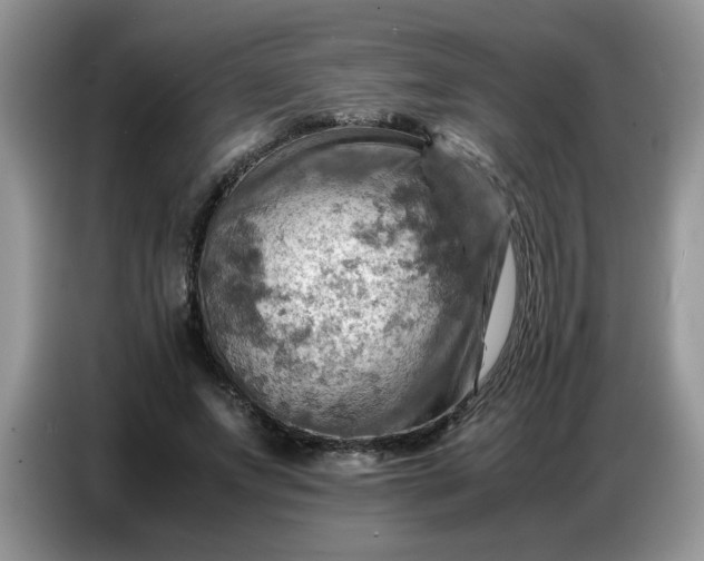 X0000086770687200704271750