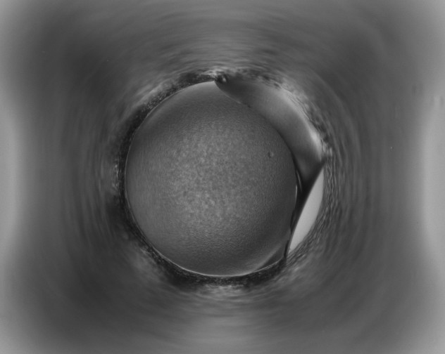 X0000086770689200704271750