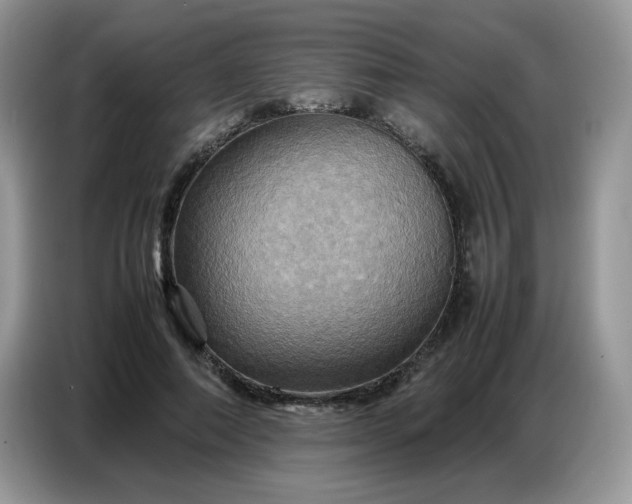 X0000086770690200704271750