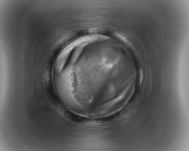 X0000086770691200704271750