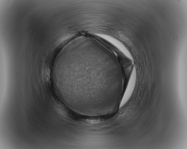 X0000086770693200704271750