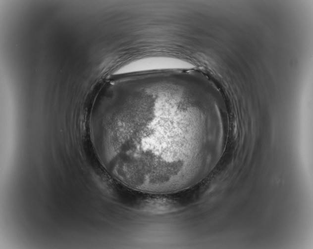 X0000086770695200704271750