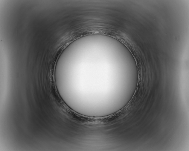 X0000086770696200704271750