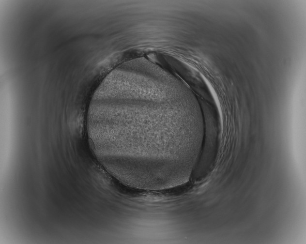 X0000086770697200704271750