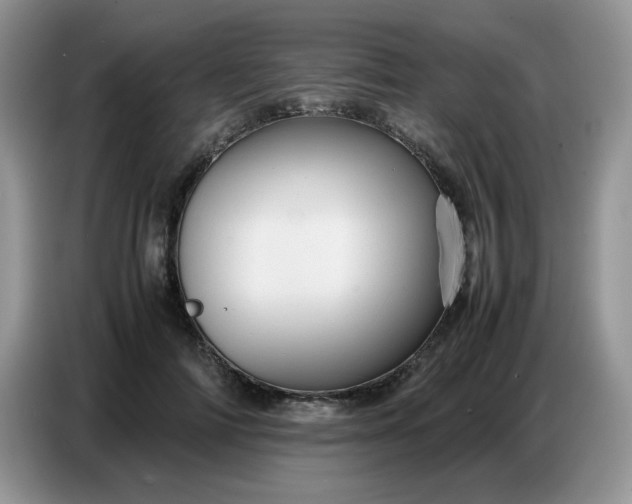 X0000086770698200704271750