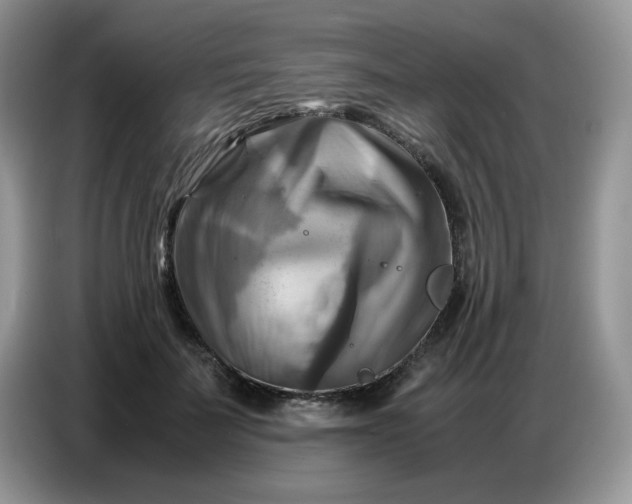 X0000086770699200704271750
