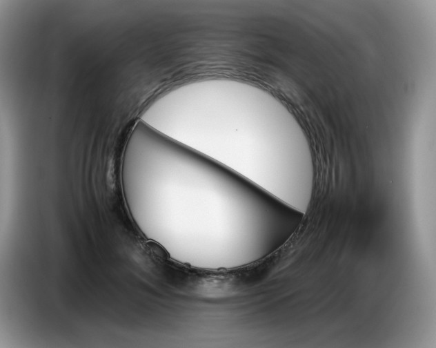 X0000086770700200704271750