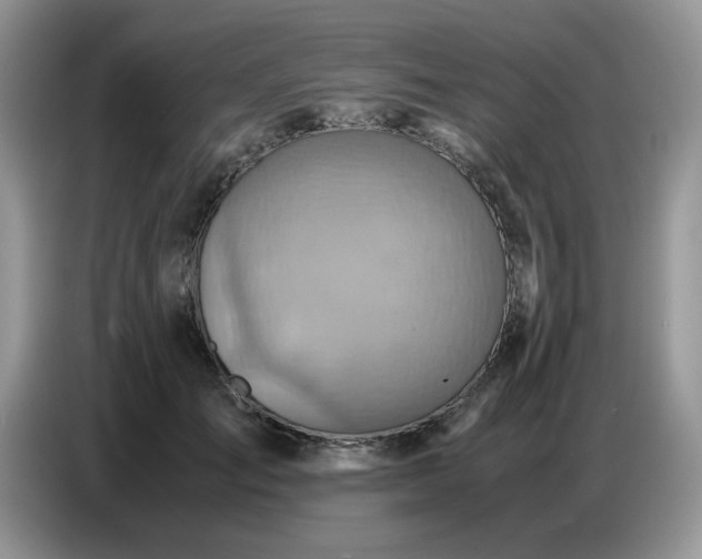 X0000086770701200704271750