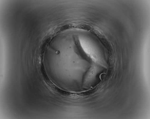 X0000086770703200704271750