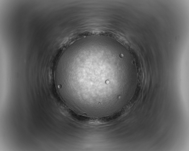 X0000086770704200704271750