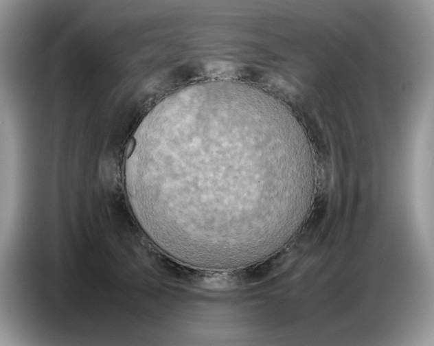 X0000086770705200704271750