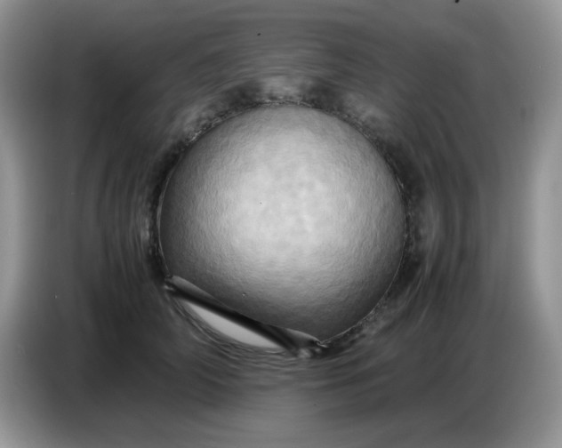 X0000086770706200704271750