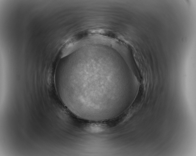 X0000086770708200704271750