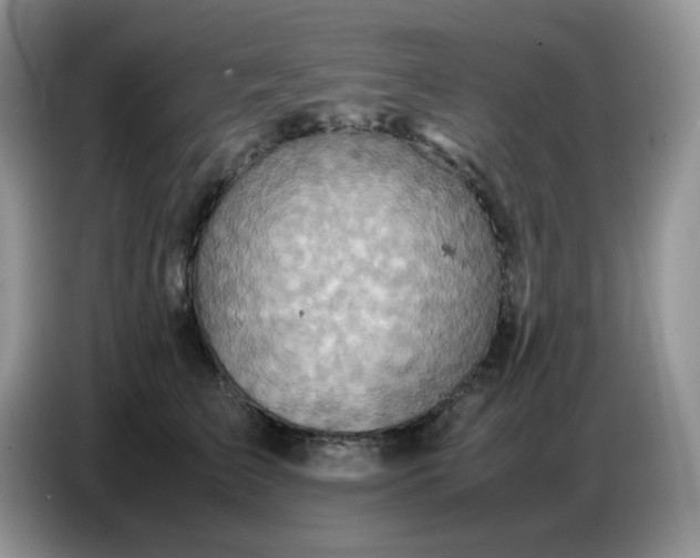 X0000086770709200704271750