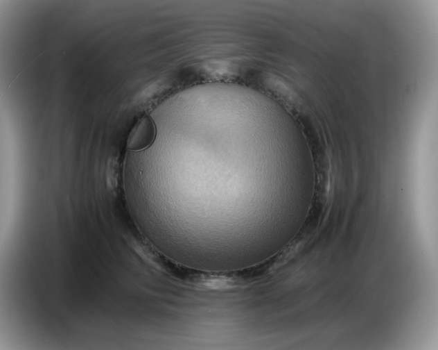 X0000086770710200704271750