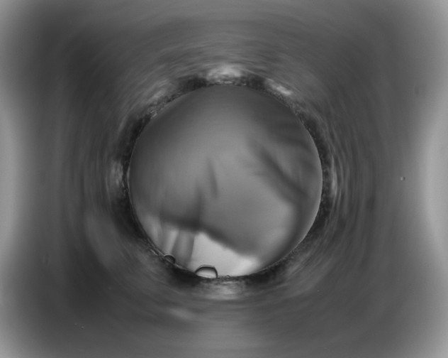 X0000086770711200704271750