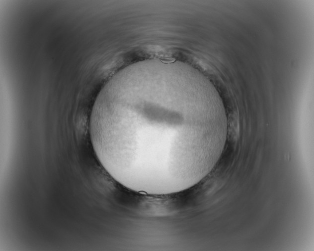 X0000086770713200704271750
