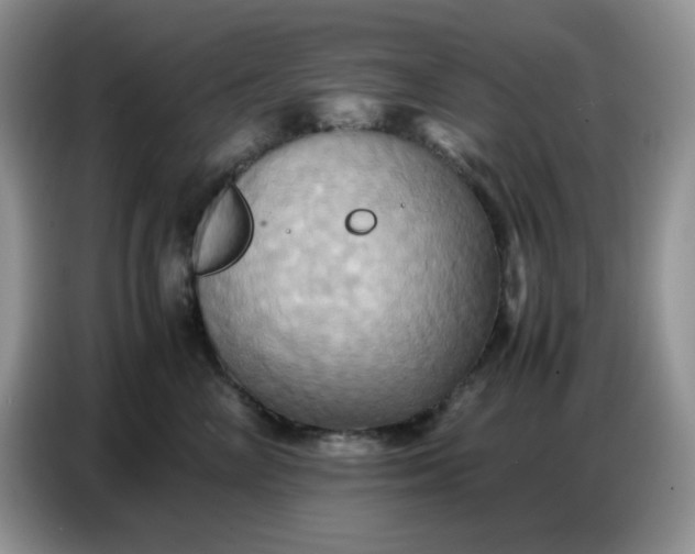 X0000086770714200704271750
