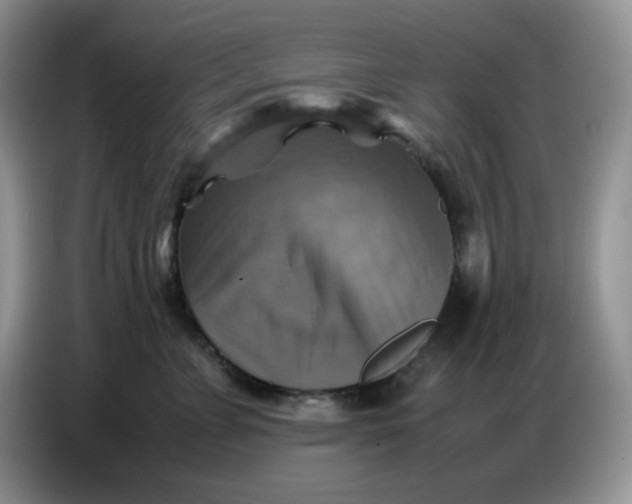 X0000086770715200704271750