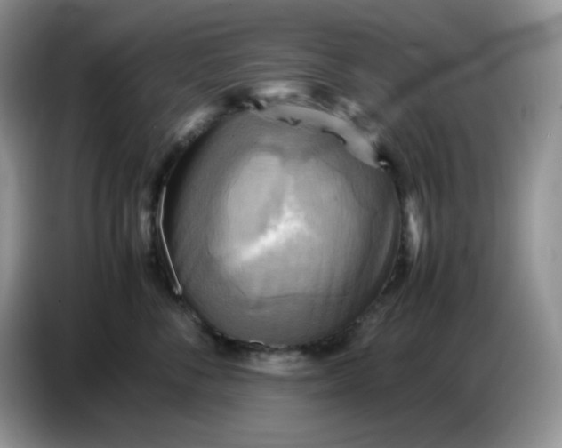 X0000086770716200704271750