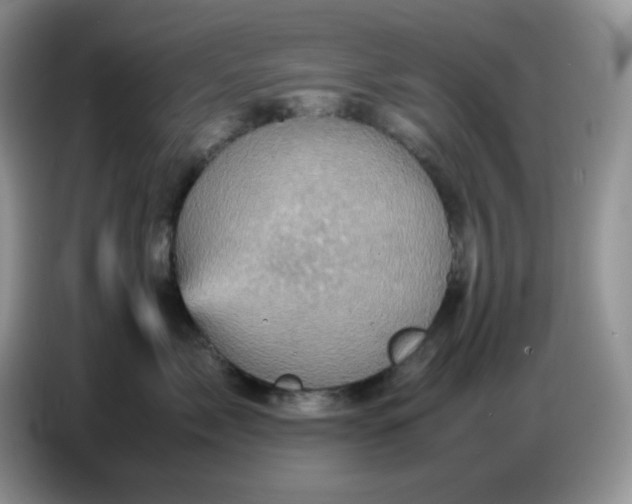 X0000086770717200704271750