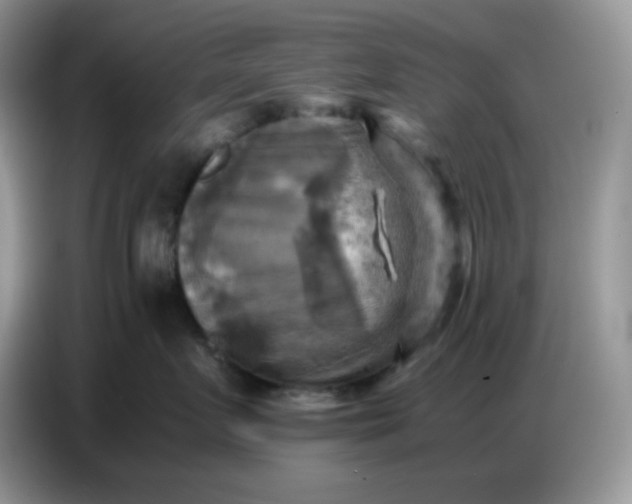 X0000086770719200704271750