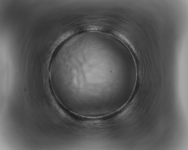 X0000086770721200704271749