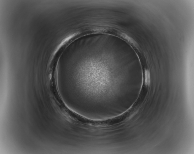 X0000086770723200704271749
