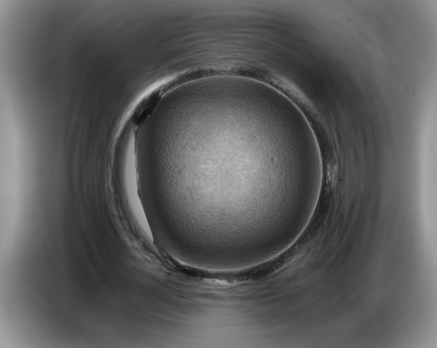 X0000086770724200704271749