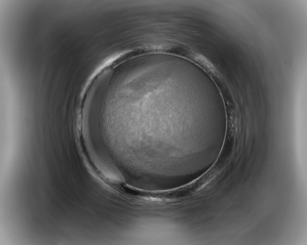 X0000086770726200704271749