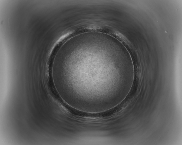 X0000086770727200704271749