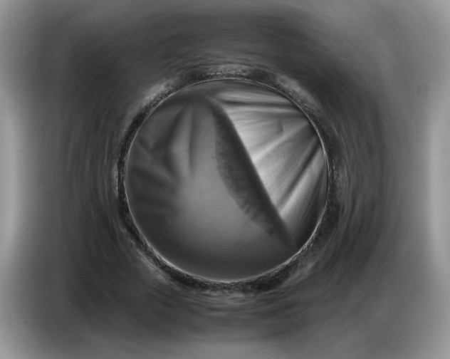 X0000086770729200704271749