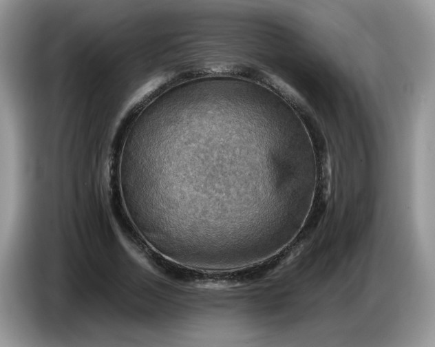 X0000086770730200704271749