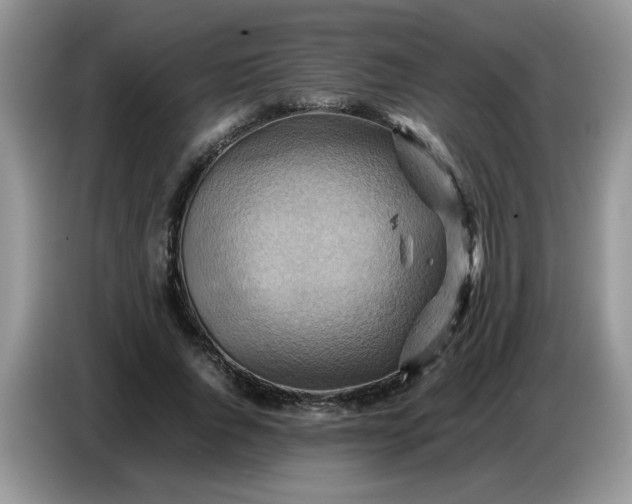 X0000086770736200704271749