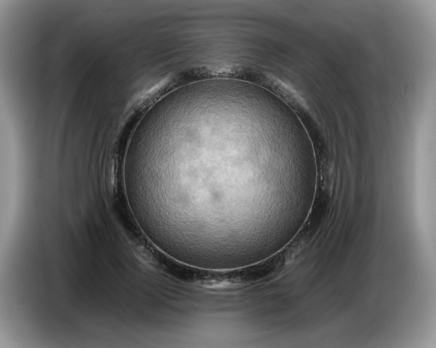 X0000086770740200704271750