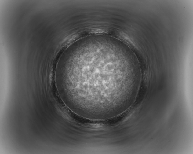 X0000086770741200704271750