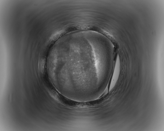 X0000086770742200704271750