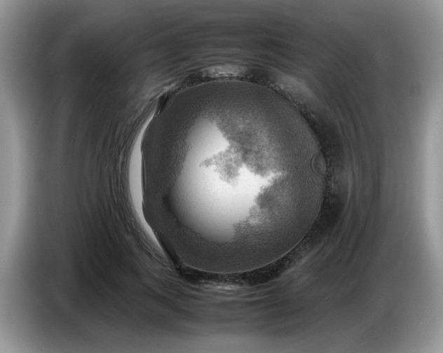 X0000086770743200704271750