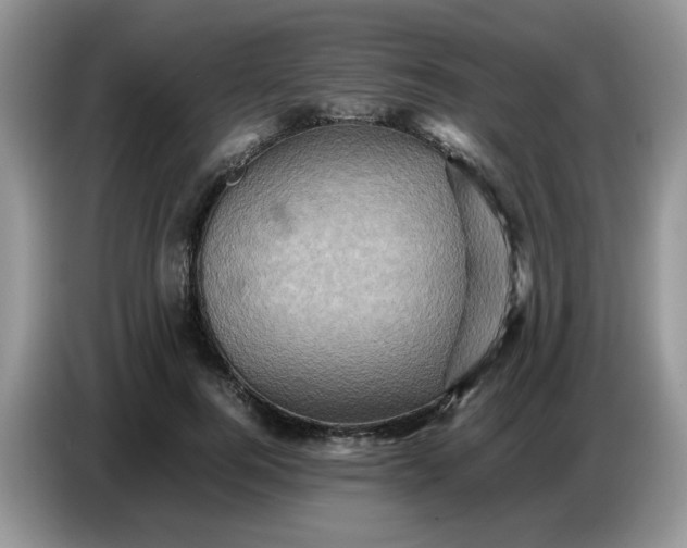 X0000086770744200704271750