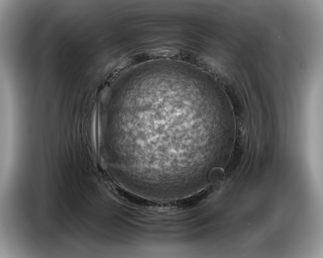 X0000086770745200704271750