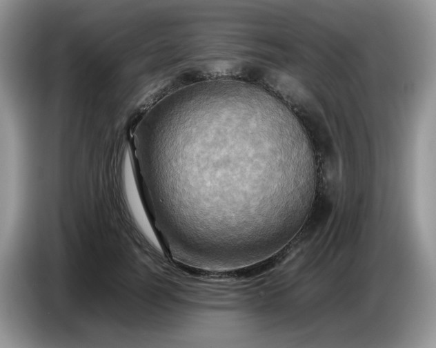 X0000086770746200704271750