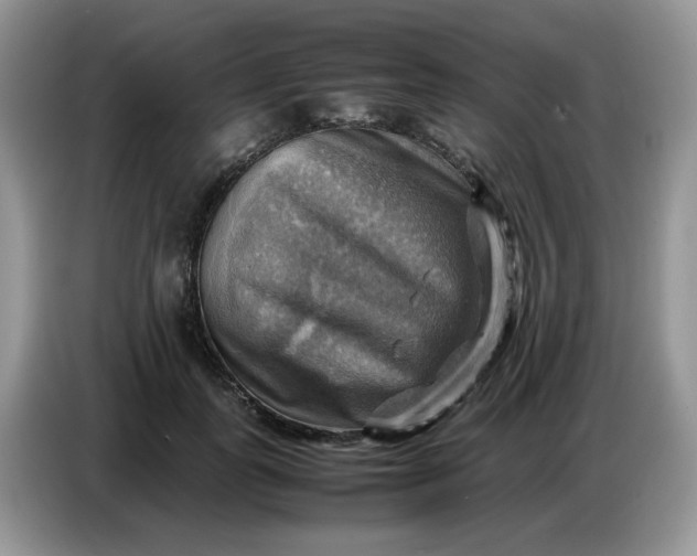 X0000086770747200704271750