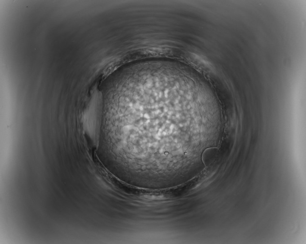 X0000086770749200704271750