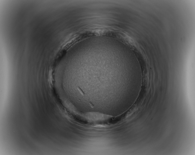 X0000086770750200704271750