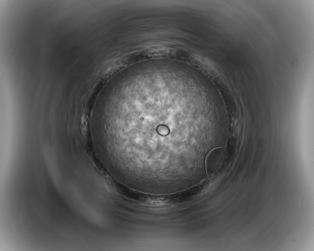 X0000086770753200704271750