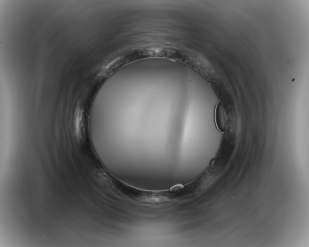 X0000086770754200704271750
