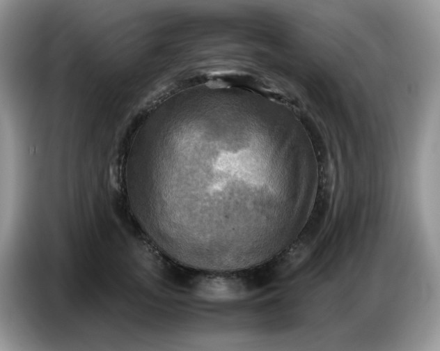 X0000086770755200704271750
